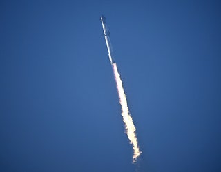 d8c2e333-