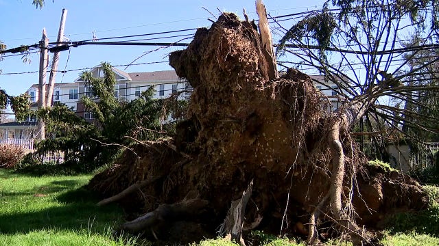 NWS confirms 8 tornadoes in NJ, Pennsylvania and Delaware as destruction found across region