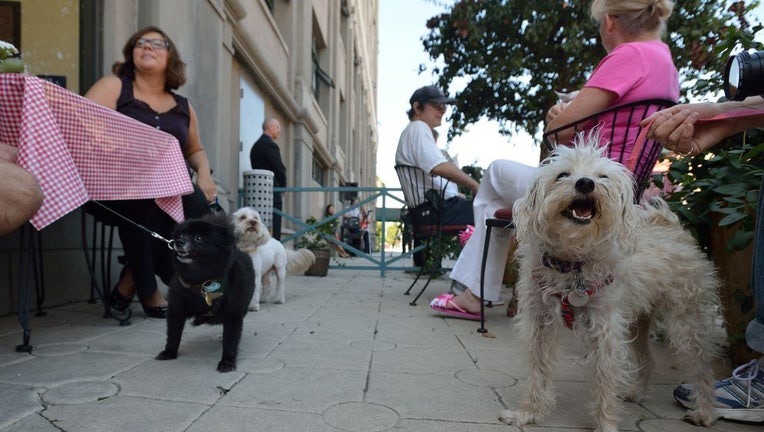 Walk With The Animals' Pet Walk Planned For Inland Empire Pet Owners