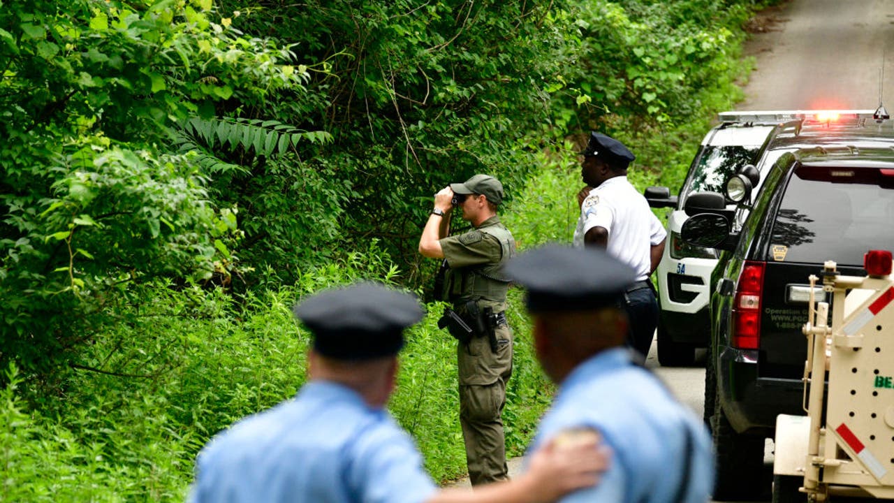 Bear That Attacked 2 Pennsylvania Children Caught And Euthanized ...