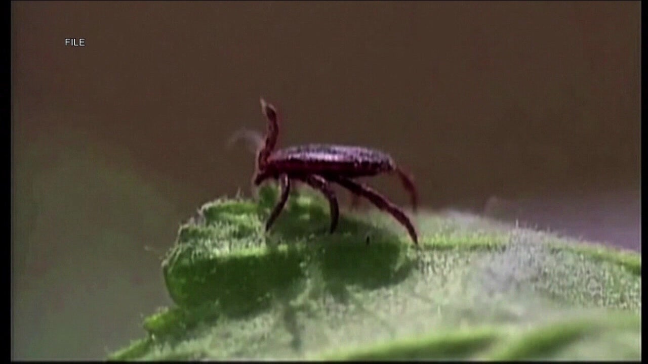 Which Delaware Valley state is a hot bed for ticks?