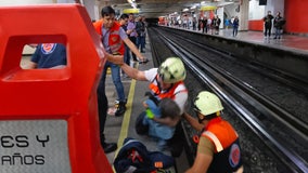 Chicken loose on Mexico City subway tracks halts service