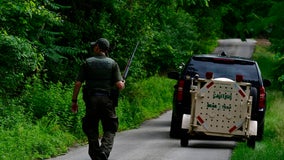 Two young children injured in bear attack in Pennsylvania, officials say