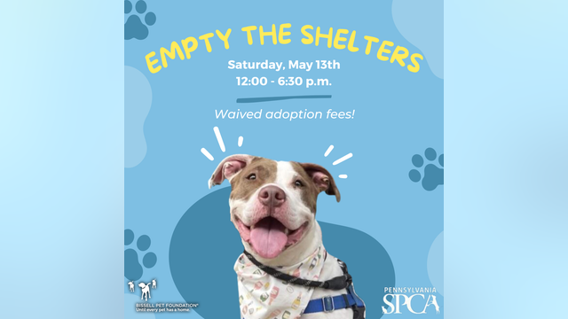 Empty the Shelters: All adoption fees waived at Pennsylvania SPCA animal shelters