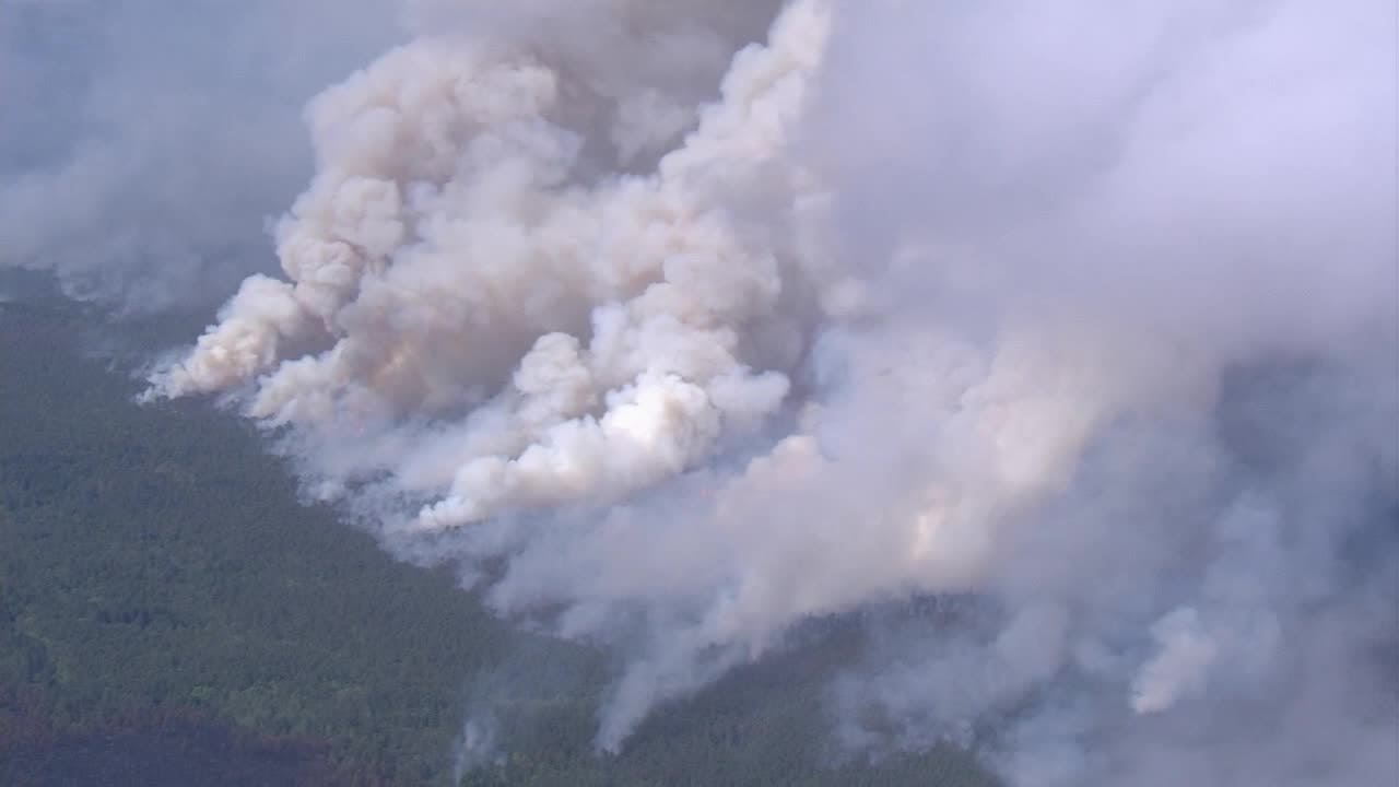 Bass River State Forest fire: Crews responding to fast-moving 3,000-acre wildfire burning in New Jersey - Vimarsana News