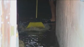 Storms down trees, dump heavy rain, flooding NE Philadelphia homes