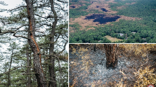 Lightning strikes sparked two recent New Jersey wildfires, officials say