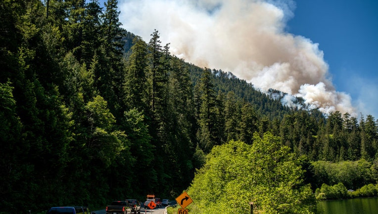 How To Remove Wildfire Ash From Your Car's Exterior