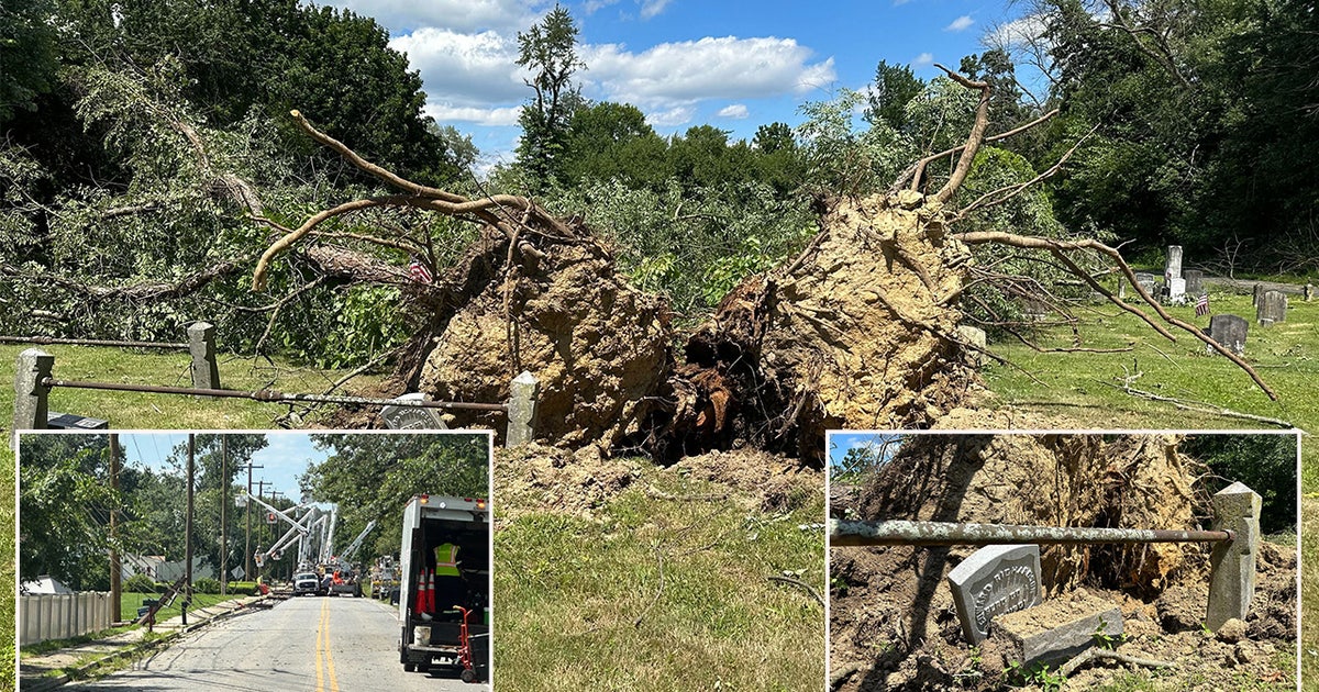 Heavy winds down power lines and large trees, leave homes condemned in ...