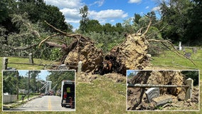 Heavy winds down power lines and large trees, leave homes condemned in South Jersey