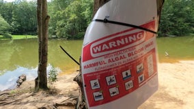 N.J. officials warn pet owners of toxic algae in Camden County park