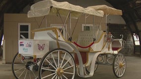 'None of the harm': Philly's first horseless electric carriage to debut in Fourth of July parade