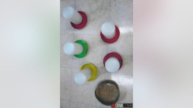 Bird feeders poisoned in Bucks County park, prompting warning from police