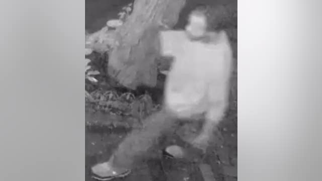 Caught on camera: Man climbs through window in $100k jewelry heist at Society Hill home