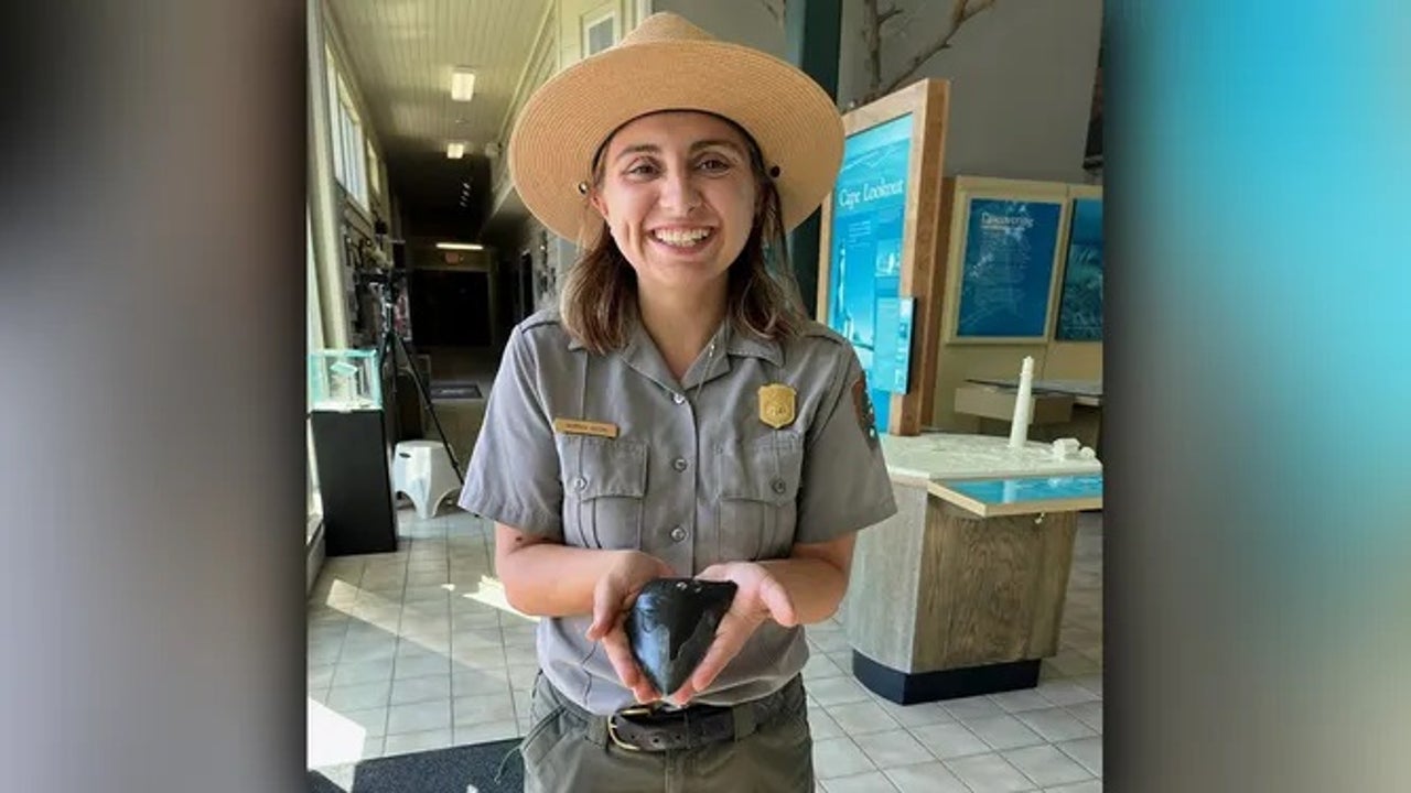 See it: Tooth of largest shark that ever lived washes ashore in North Carolina - Vimarsana News