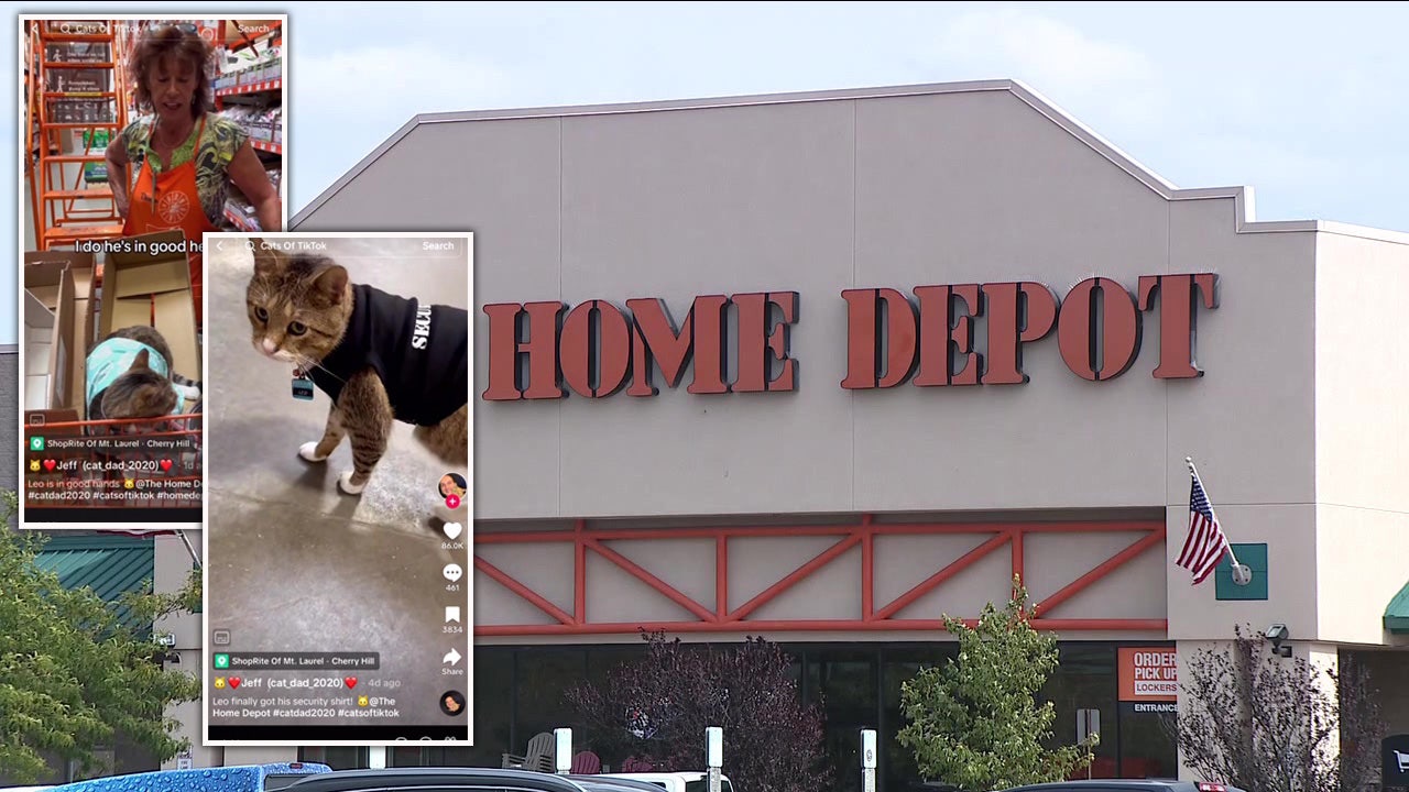 Leo the TikTok Cat lives in South Jersey Home Depot - WHYY