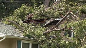 Tornado strength winds confirmed in Delaware Valley