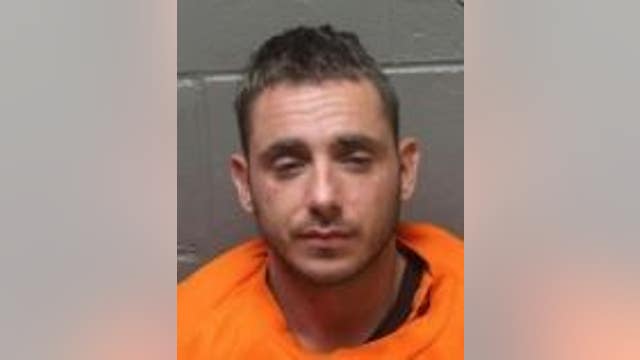 South Jersey man pleads guilty to breaking limbs of girlfriend's cat 'beyond repair,' officials say