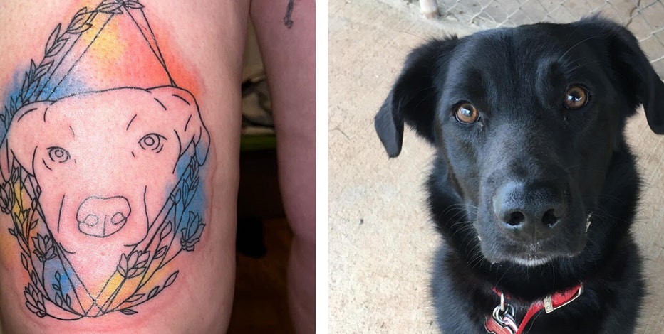 Dog Paw Temporary Tattoo - Set of 3 – Little Tattoos