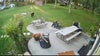 Video captures black bear wandering through backyard in Bucks County
