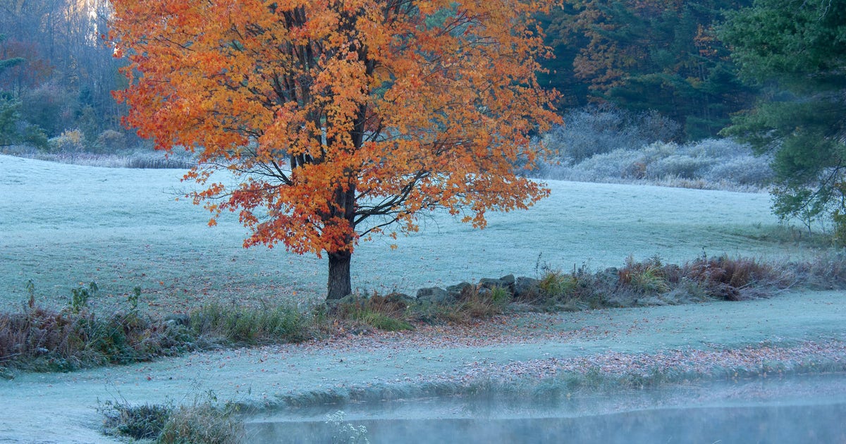 Here’s when to expect the first freeze of the season | FOX 29 Philadelphia