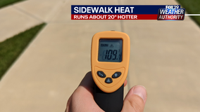 Protect your pets: Pavement, sidewalk could get dangerously hot during heatwave