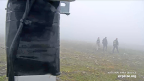 Alaska hiker rescued thanks to viewers spotting him on bear webcam