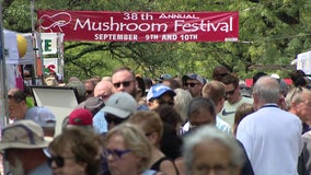 Kennett Square Mushroom Festival draws thousands amid tight security due to Danelo Cavalcante search