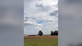 Watch: 'Corn devil' swirls through freshly harvested Kansas field