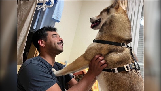 'He's my companion': Service member desperately searching for lost dog in Philadelphia