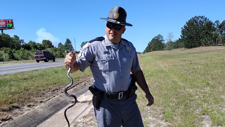 South Carolina trooper wrangles 4-foot snake from woman's car on