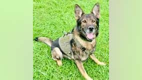 Berks County K-9 retires after five years of service