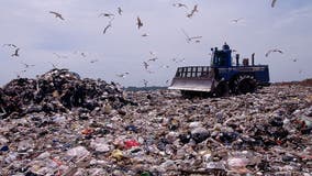 World's largest landfill becomes second-largest park in NYC, now open to the public