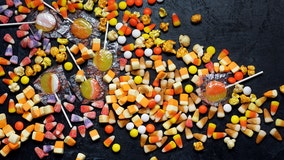 World sugar shortage due to extreme weather threatening Halloween candy prices