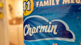 Charmin revolutionizes toilet paper design: A game-changer in bathroom comfort