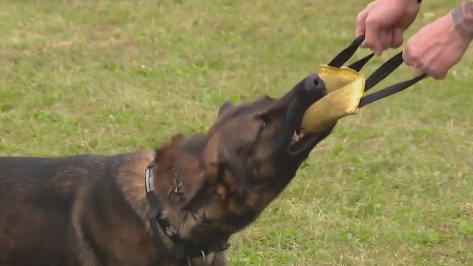 Temple University continues enhanced safety measures by introducing new K-9 officer