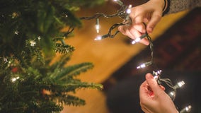 When should you put up your Christmas tree? Experts weigh in