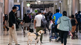 2023 holiday travel season will be 'busiest ever,' TSA anticipates