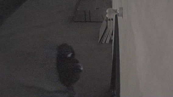 Montgomery County police investigate vandalism at Phoenixville mosque