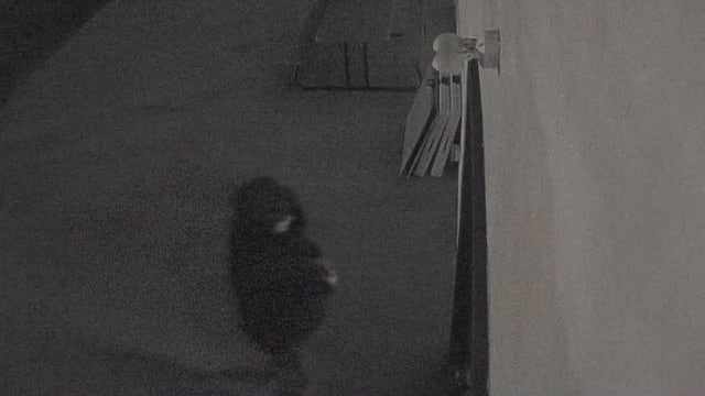 Montgomery County police investigate vandalism at Phoenixville mosque