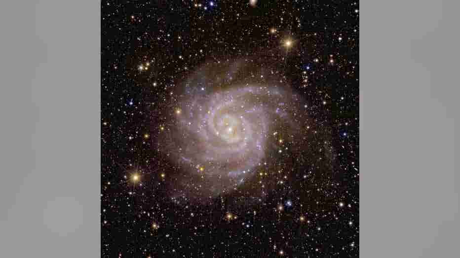 Euclid_s_view_of_spiral_galaxy_IC_342.jpg