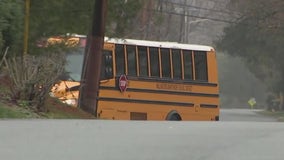 No decorations on buses? Wallingford-Swarthmore school leaders face backlash over 'unintended' message