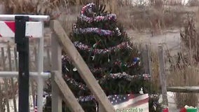 Christmas trees at the beach bring holiday sparkles to Ocean City