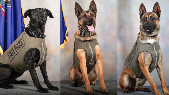 Pennsylvania State Police K9s protected by body armor thanks to donation