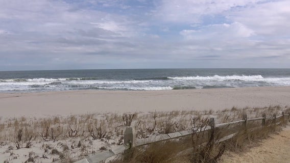 Offshore wind farms don't kill whales, contrary to politicians' claims. Here's what to know.