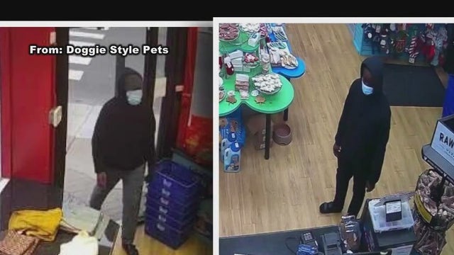 Serial thief targeting popular Philly pet care stores caught: police