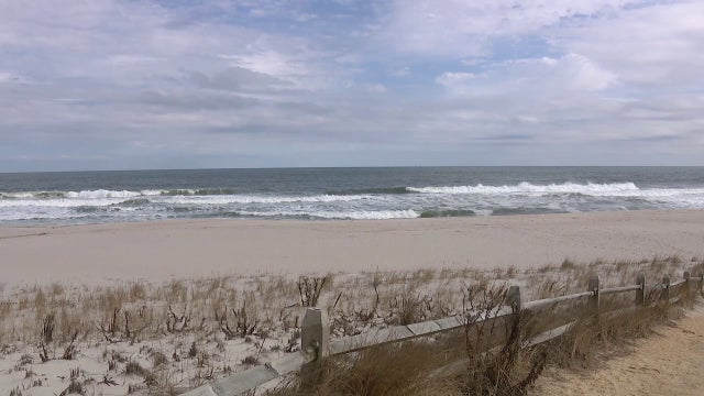 Offshore wind farms don't kill whales, contrary to politicians' claims. Here's what to know.