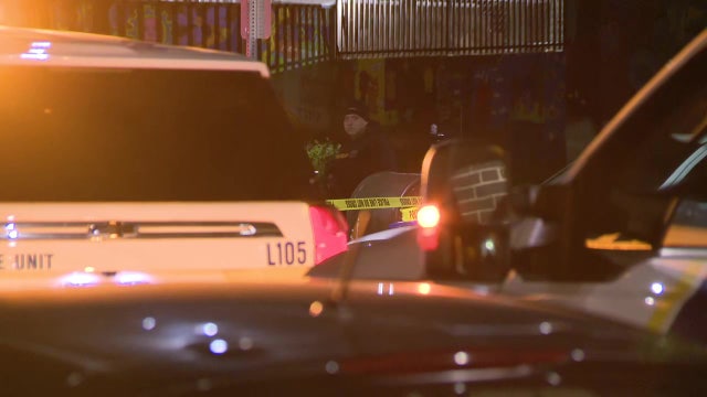Man found dead in shopping cart on corner of Kensington street: police