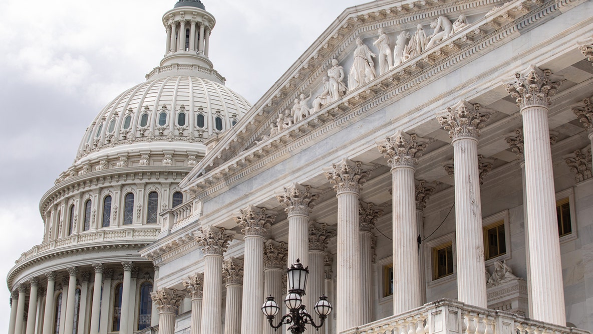 Delaware primary election 2026: What Republicans are running for the House