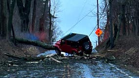 Drivers warned to abide by road closure amid storm cleanup: 'Don't be like Tom'